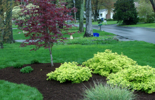 knob hill landscaping